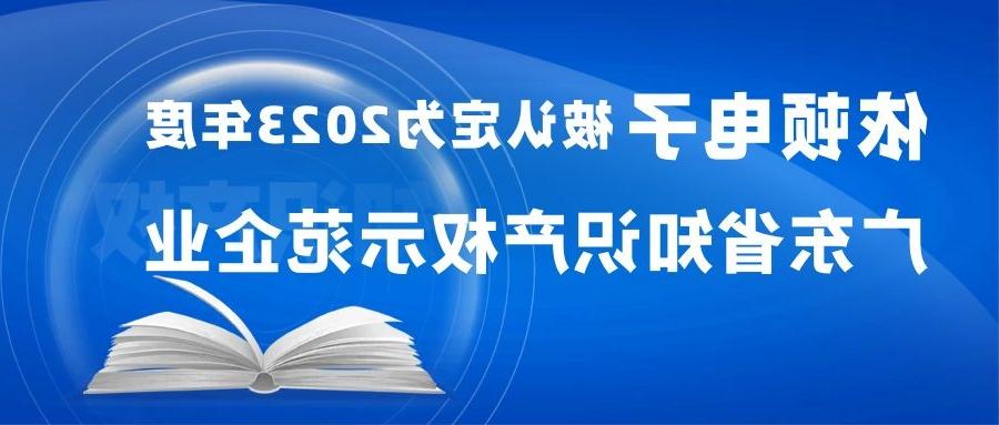 喜报 | 太阳城娱乐被认定为“2023年度广东省知识产权示范企业” 